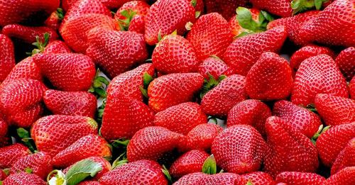 Webinar - Legislação sobre o uso de pesticidas